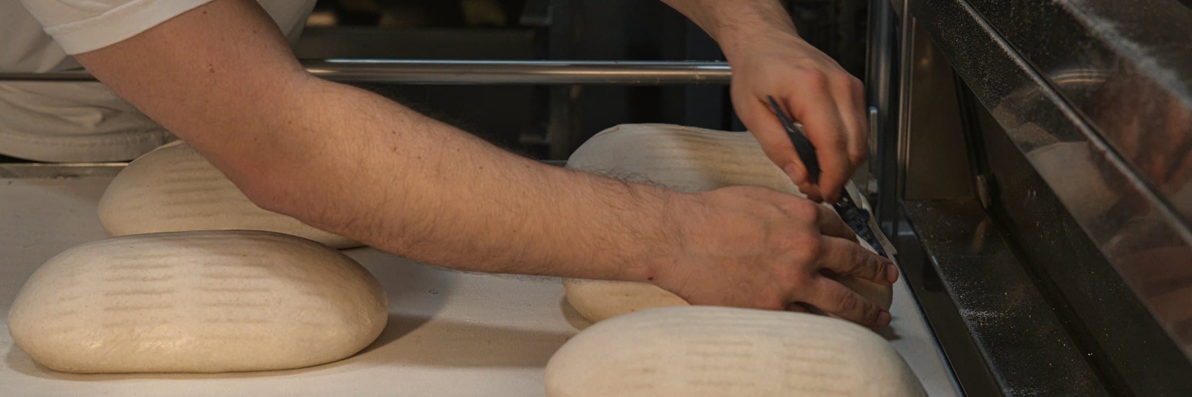 A baker's hands scoring loaves of dough before they go into the oven